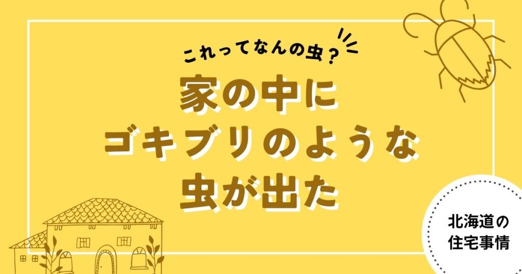 家の中にゴキブリのような虫が出た